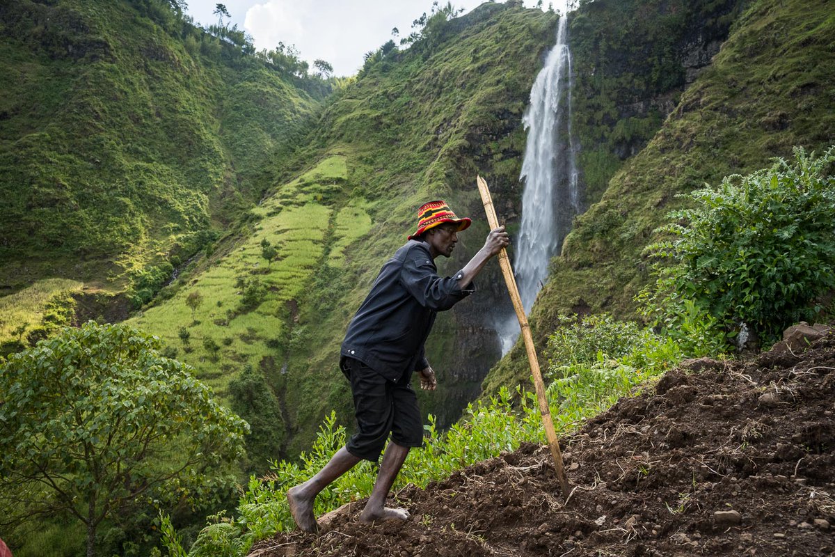 Tierras altas del Gamo, al sur de Etiopía 🇪🇹
Vida de pueblo, campamentos y cascadas ocultas.

👉magazine.wideoyster.com/es/long-reads/…