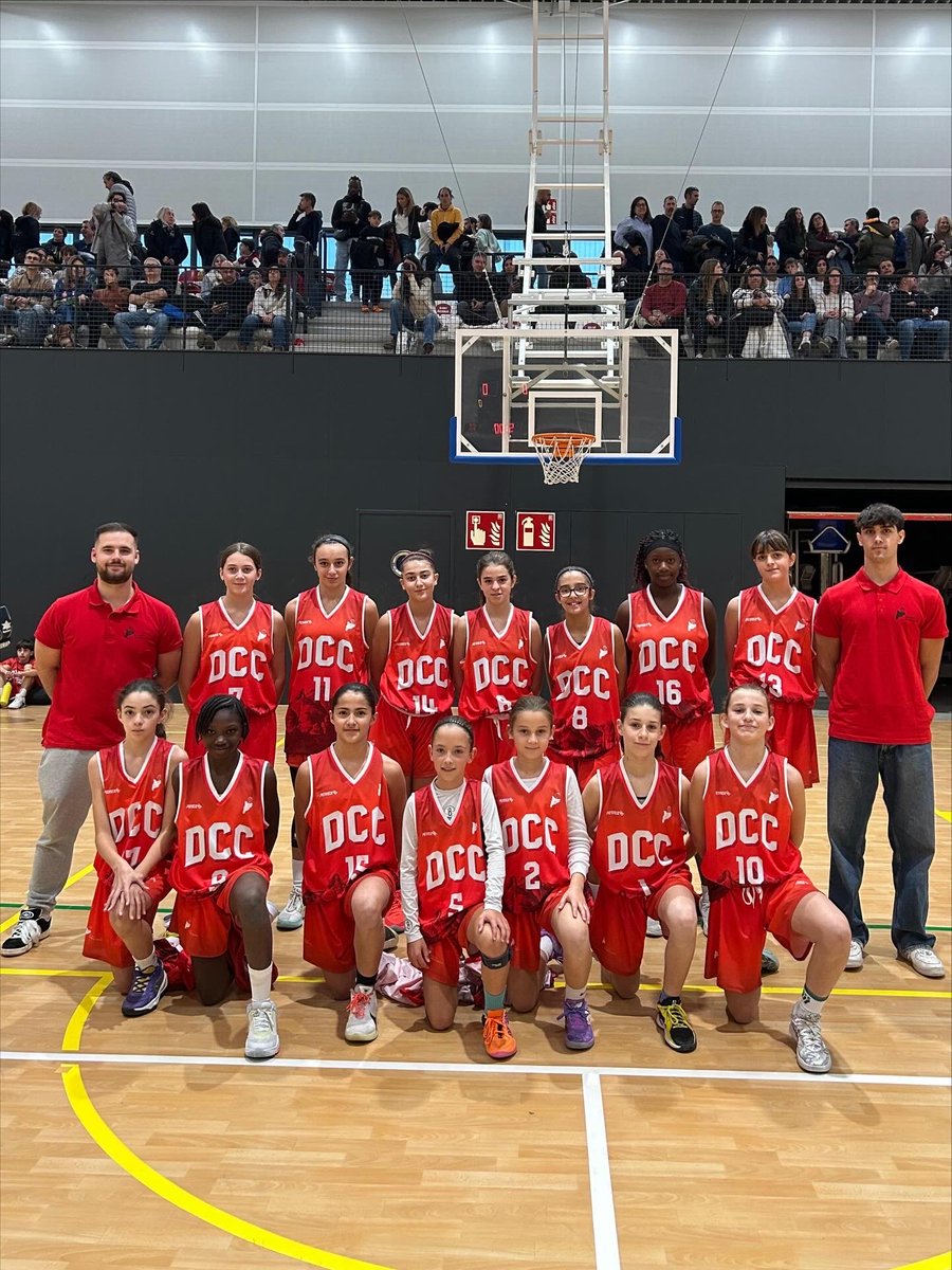 FCBQ_CatCentral tweet media