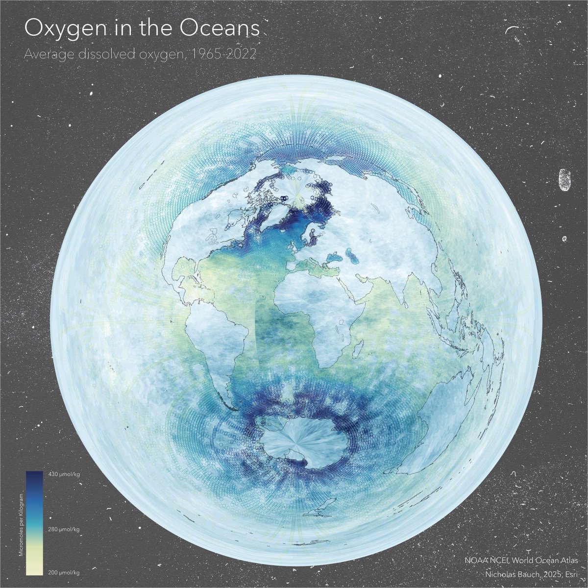 TheGeoWhisperer's tweet image. Minimal aesthetic, compelling visuals! Nick Bauch&apos;s map showcases oxygen levels 5m below the ocean&apos;s surface in #ArcGIS Pro using data from NOAA’s World Ocean Atlas, Azimuthal Equidistant projection, and Adobe Paper Texture. 

#30DayMapChallenge day 11: ow.ly/OUkO50Xt9Ct
