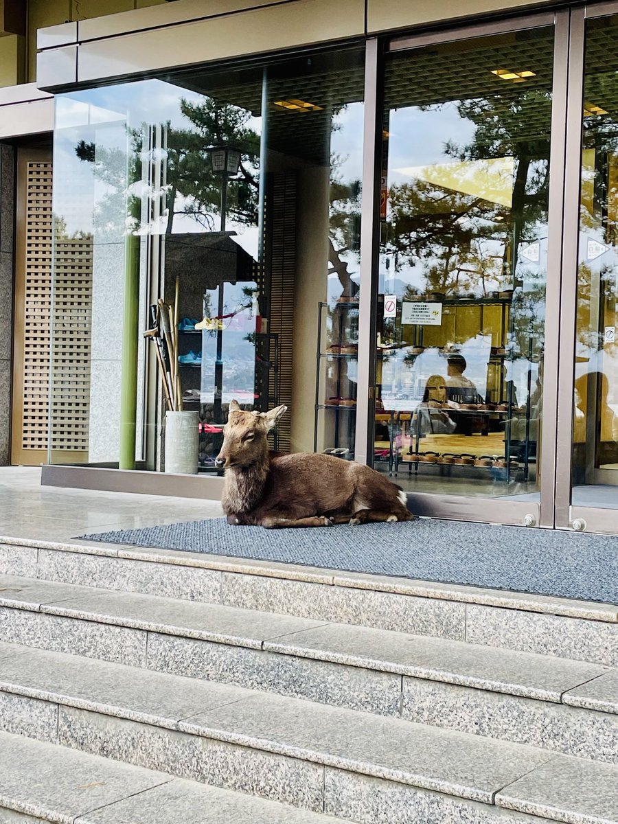 あごぱん (@AGOPANDA) / Posts / X