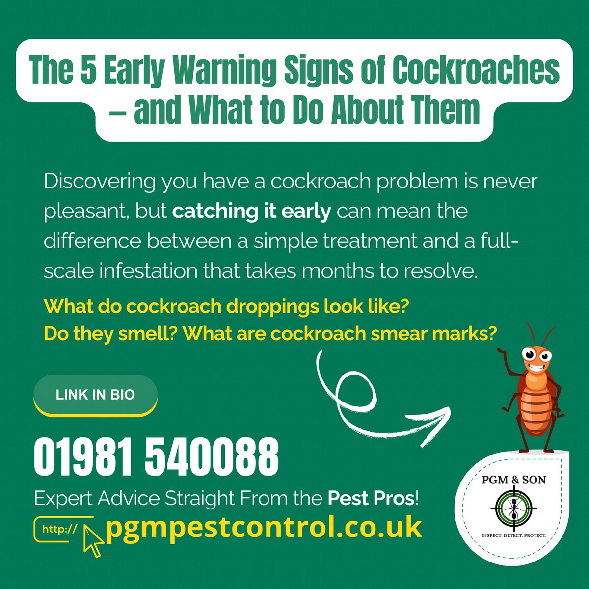 pgmpestcontrol's tweet image. Think you might have cockroaches? 👉 pgmpestcontrol.co.uk/post/the-5-ear… 

#Cockroaches #Cockroach #CockroachControl #CockroachAlert #CockroachPrevention #cockroachinfestation #kitchencockroaches #germancockroaches #orientalcockroaches #cockroachproblem #publichealth #foodhygiene