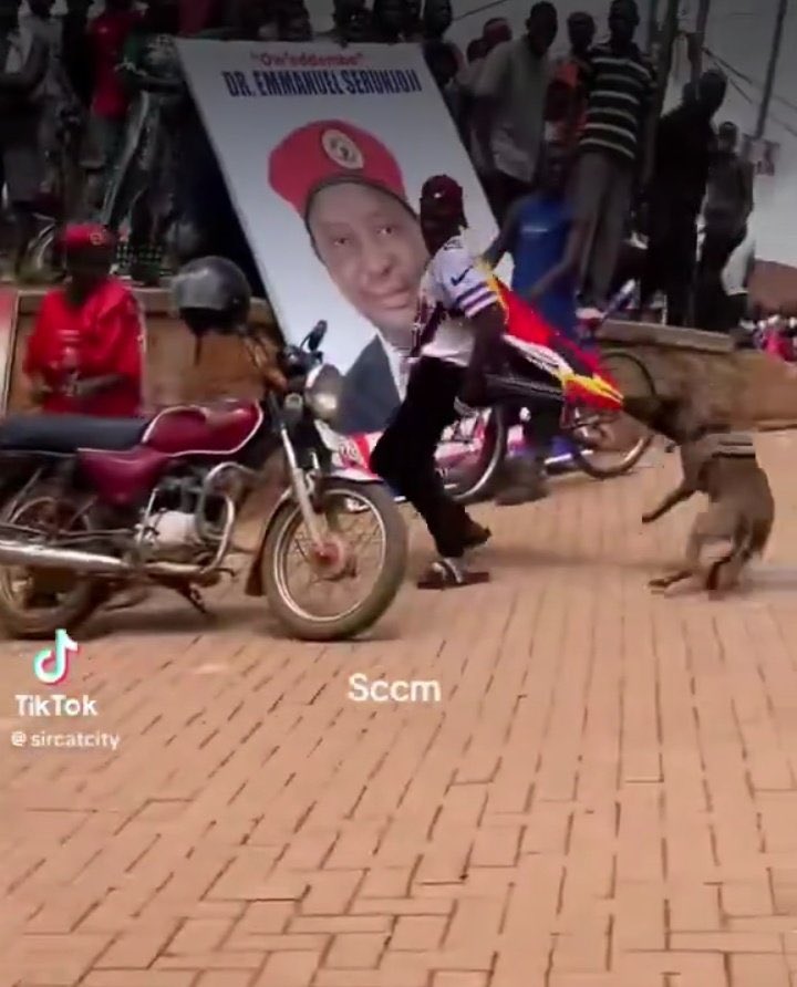 Mayinja26's tweet photo. I strongly condemn this sort of inhumane police behavior that reduces the dignity of peaceful civilians of our country. This seed of hate sowed by the state will yield violence in the coming days if not mitigated and dismissed! https://t.co/1z8aGqvPoK