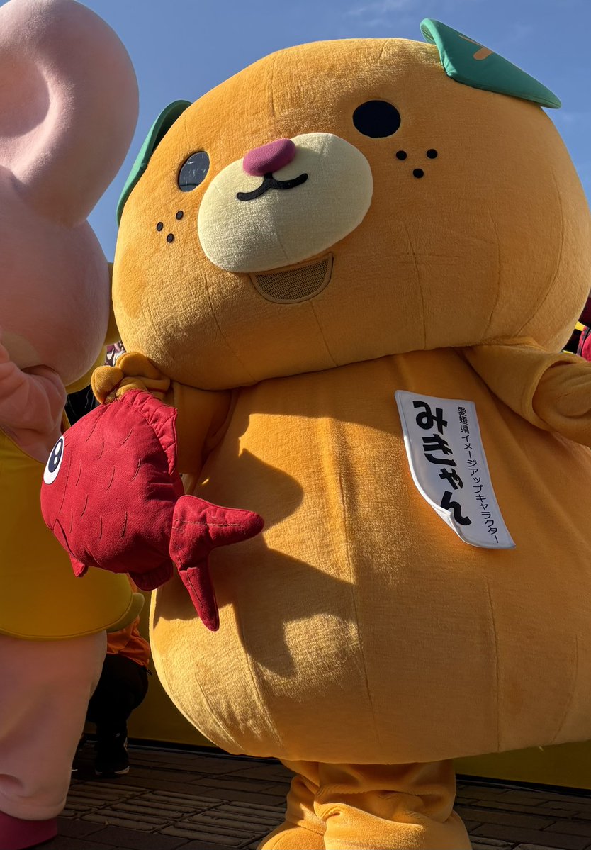 micanehime's tweet image. こんにちきゃん🍊

鯛のバッグとタルトステッキ
羽生でお披露目したんよ〜🌟

みんなから大好評やったけ〜ん☺️