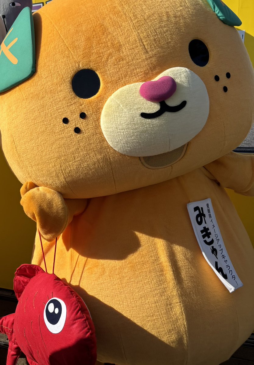 micanehime's tweet image. こんにちきゃん🍊

鯛のバッグとタルトステッキ
羽生でお披露目したんよ〜🌟

みんなから大好評やったけ〜ん☺️