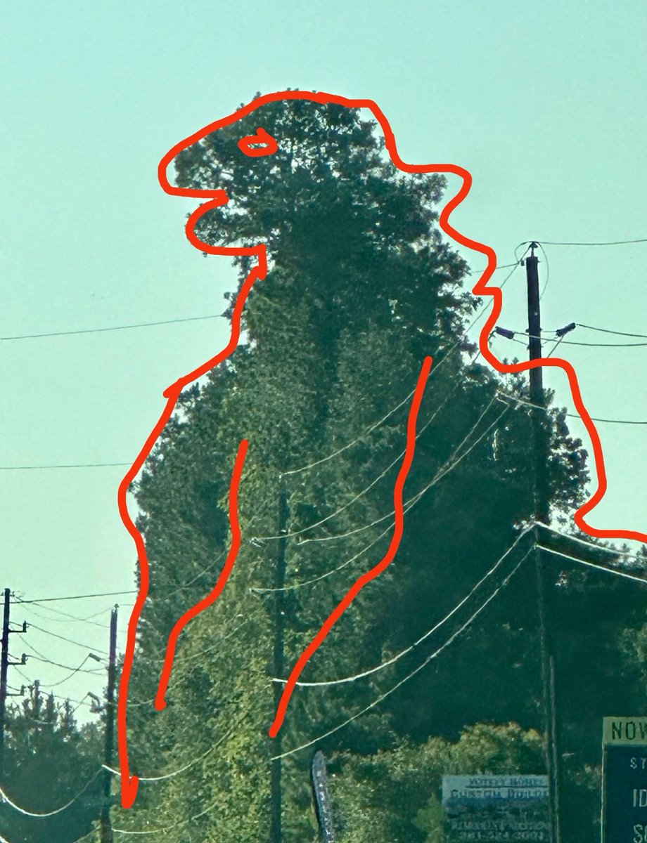 Kang_Paket's tweet image. Godzilla