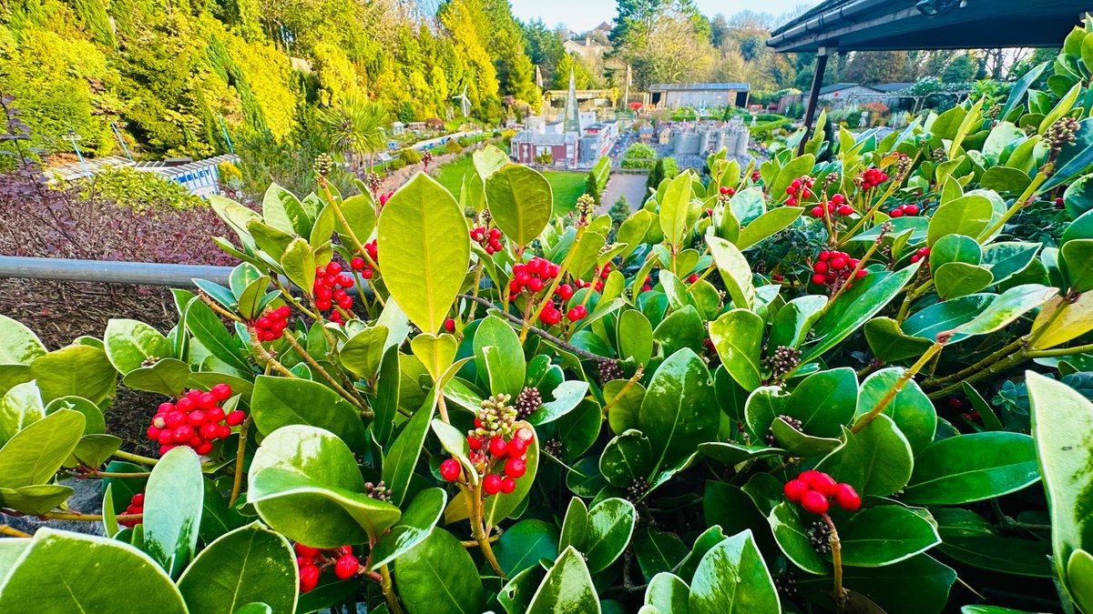 Model Village, Devon tweet media