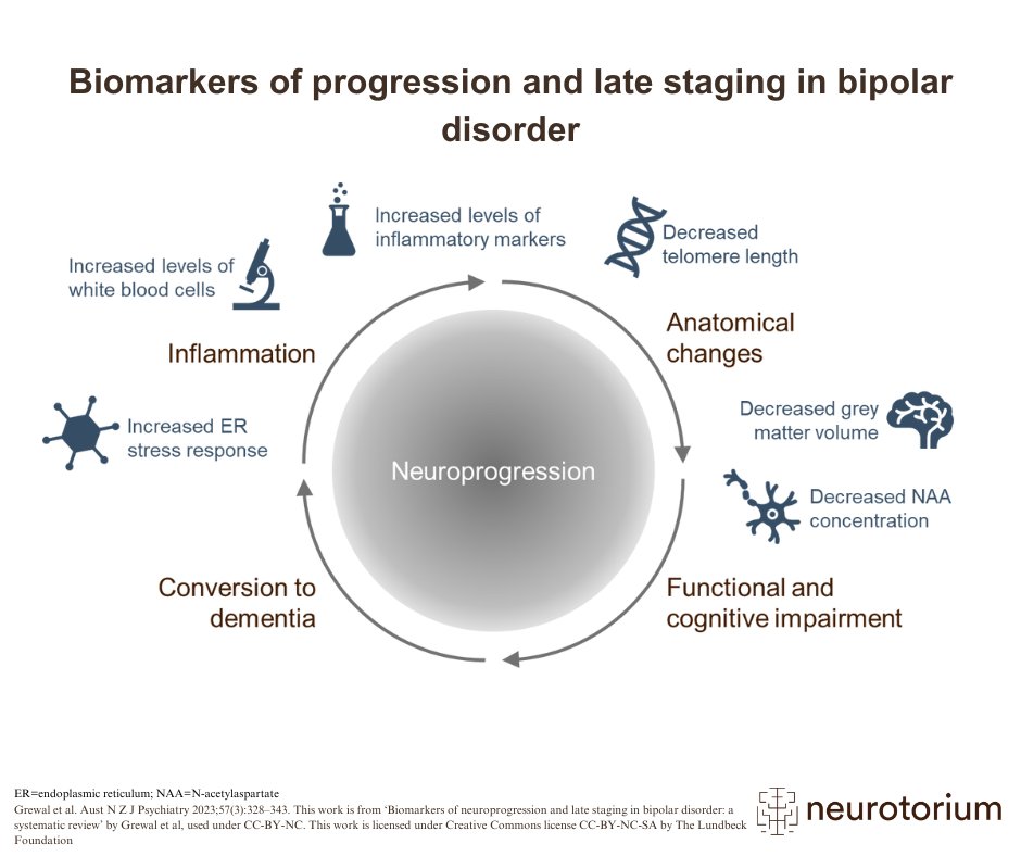 Neurotorium tweet media