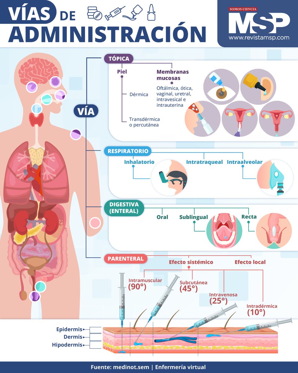 RevistaMSP's tweet image. #InfografíaMSP 💉Cada vía de administración tiene aplicaciones específicas y pueden ofrecer ventajas únicas en términos de absorción, velocidad de acción y comodidad para el paciente.

Conoce más sobre las vías de administración con esta infografía o en revistamsp.com
