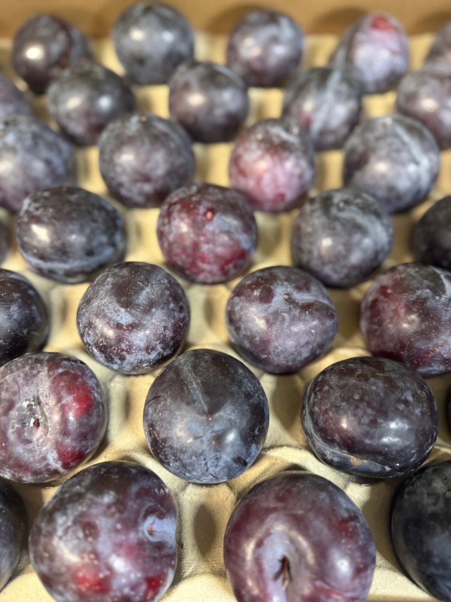 Our plums are so good you’ll want to write a menu around them.

Sweet, juicy and begging to be roasted with something naughty. 

Chefs, your dessert section just started flirting. 

Order online or call us on 01380 860968