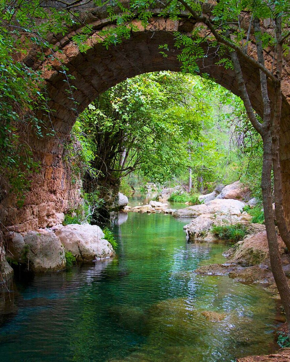 🍃 Hay caminos que deben recorrerse con respeto. Y este, que une 📍 Don Domingo con Pozo Alcón, es uno de ellos.

Son casi 97 km desde la Sierra de Segura, siguiendo al Guadalquivir.

🔗es.wikiloc.com/rutas-gravel-b…