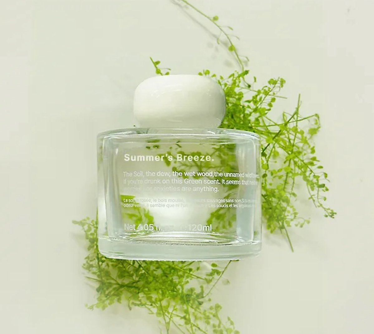 DKBK::𝖦𝗋𝗈𝗎𝗇𝖽 β 𝖠𝗀𝖺𝗂𝗇 tweet media