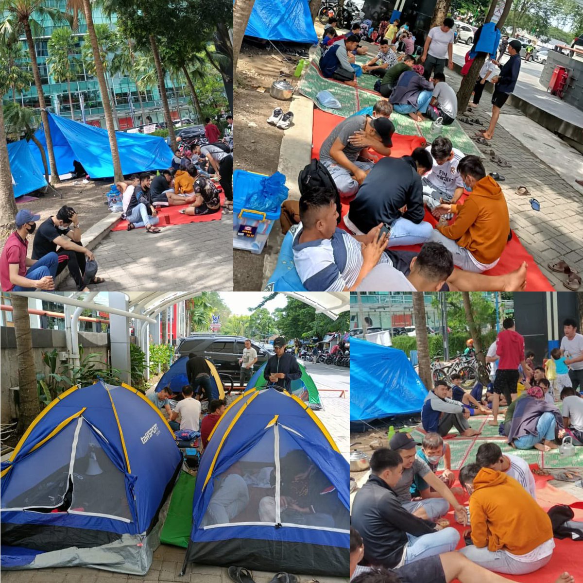 #HelpRefugees_Indonesia
 We ask you to hear the voices of the forgotten refugees in Indonesia. Many of us have been living in harsh conditions for years without basic human rights. <a href="/AlboMP/">Anthony Albanese</a> <a href="/UN_HRC/">UN Human Rights Council</a> <a href="/hrw/">Human Rights Watch</a> <a href="/Tony_Burke/">Tony Burke</a> <a href="/chrisluxonmp/">Christopher Luxon</a> <a href="/amnesty/">Amnesty International</a> <a href="/smh/">The Sydney Morning Herald</a> <a href="/LenaMetlegeDiab/">Lena Metlege Diab</a> <a href="/PplJustLikeUs/">People Just Like Us</a> <a href="/UN/">United Nations</a>