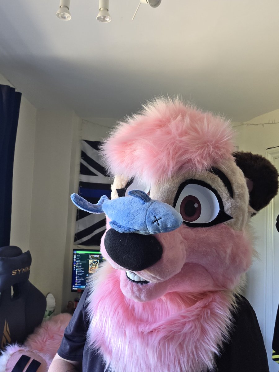 FloofIts's tweet image. Its me bday! 🎉 i am becoming old ott now! I am now 23 😱😱😱