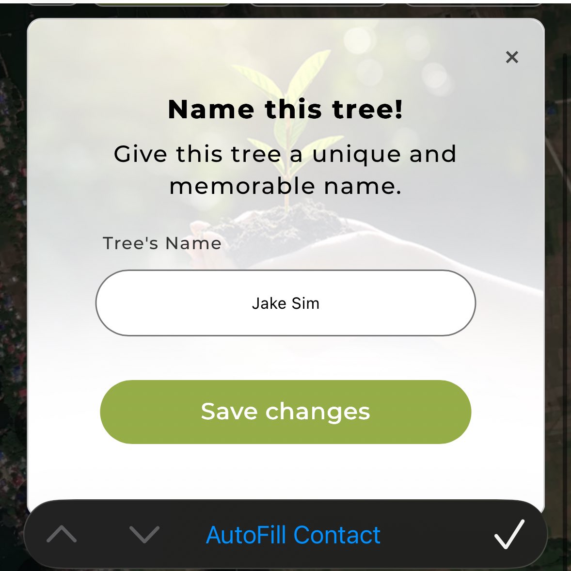 sunjake_hrs's tweet image. May ambag na nmn din pala kaka grab ko🫶🏻✨.  Of course I’m naming the tree after Jake🥹