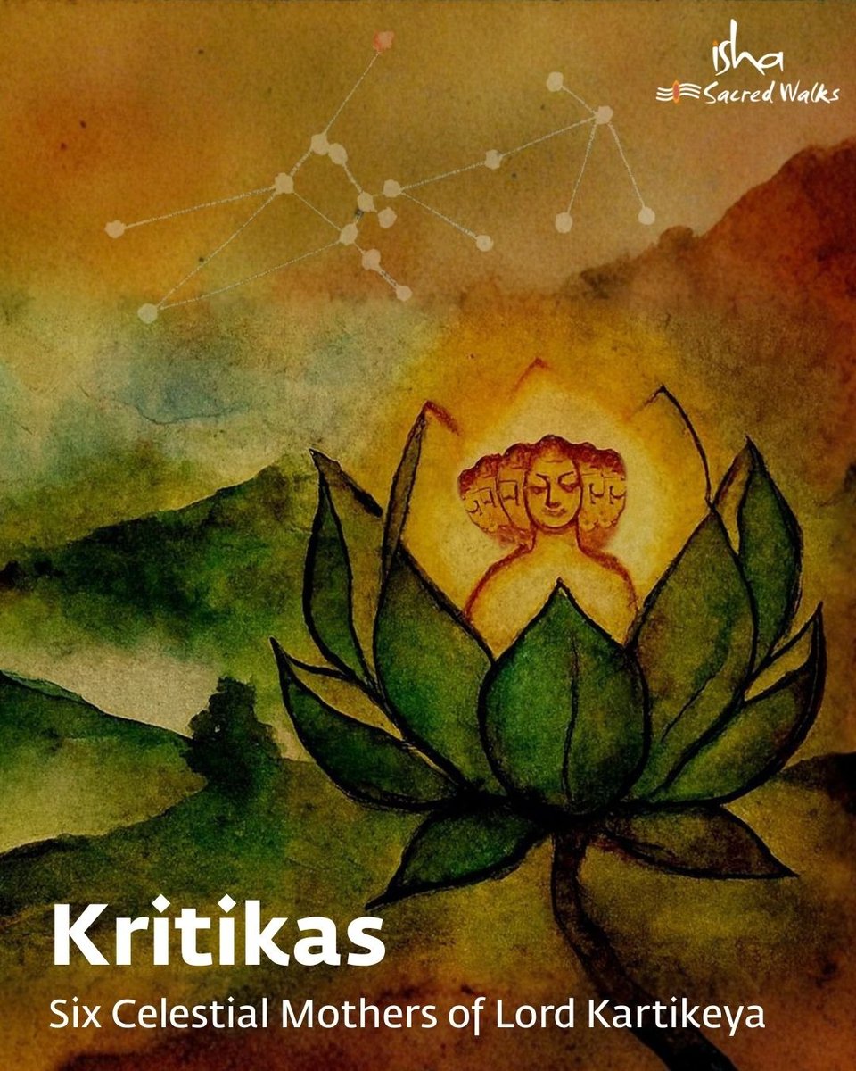 IshaSacredWalks's tweet image. A cluster of six stars — the Kritika Nakshatra — shines brightest in this sacred month.
From Shiva’s fiery seed arose six divine sparks, nurtured by the celestial Kritikas and later united by Parvati into one radiant being: Lord Arumugam.
Karthigai lamps are lit to honour him.