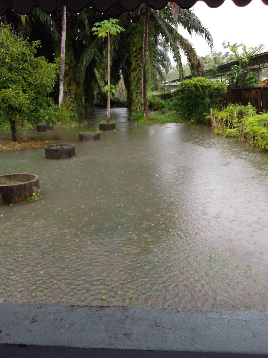 🌧️ติดฝนเด้ ตกหนักขนาดนี้ อิให้ทำไหรอะ😴 นอนดีกว่าเนาะ💤💤
#กระบี่ 🌺
Id:suri1718
T:0994533708