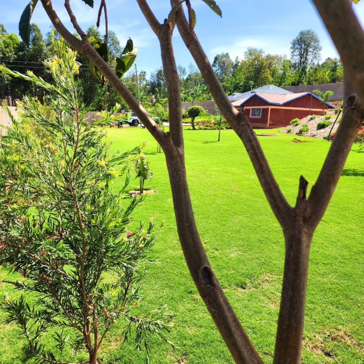 Garden Consultants And Services tweet media