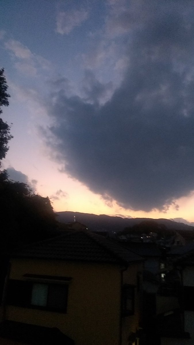 AZUMI (@AZUMI00100282) / Posts / X