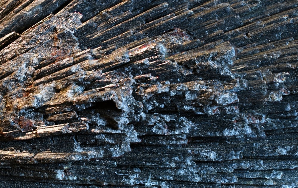 CCMGoldLtd's tweet image. What is antimony? Why does it matter? 

This critical mineral is vital to tech, defense, &amp;amp; energy. With rising demand &amp;amp; fragile supply chains, a looming shortage could disrupt industries. Learn more via Carbon Credits:
👉 carboncredits.com/the-future-of-…

#CriticalMinerals #Commodities