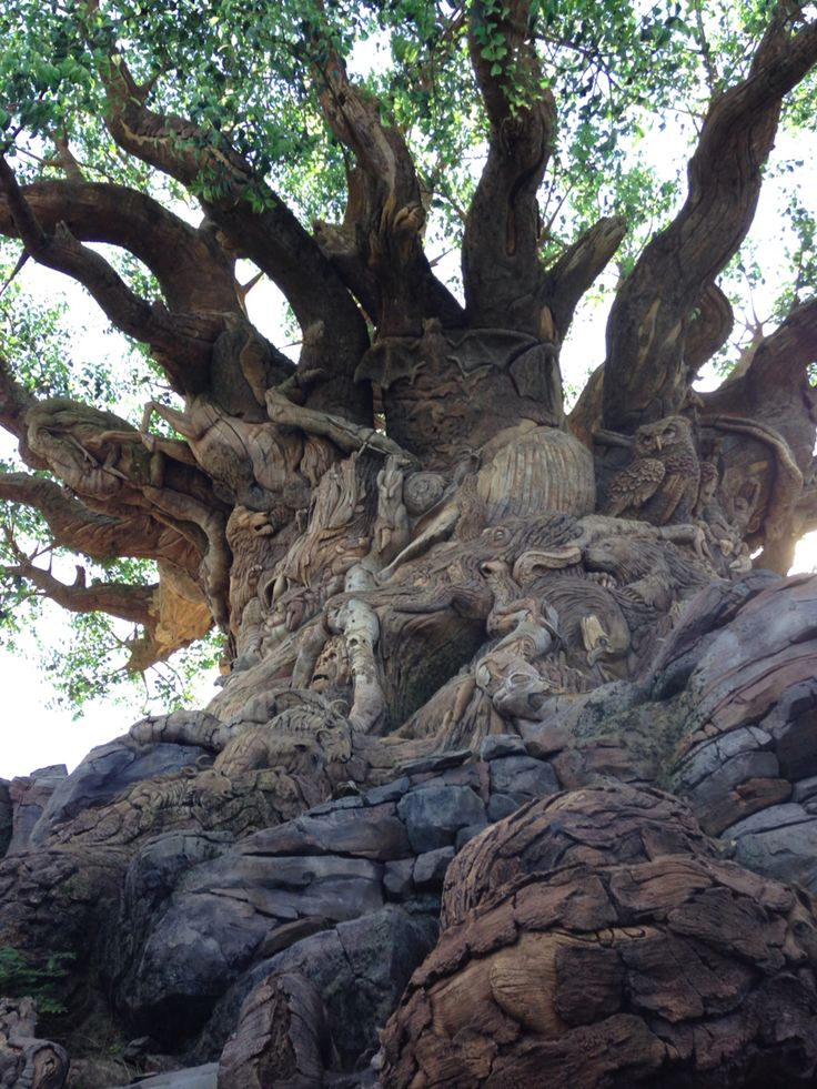 LonelyAppleTree's tweet image. God created nature, and nature created works of art.