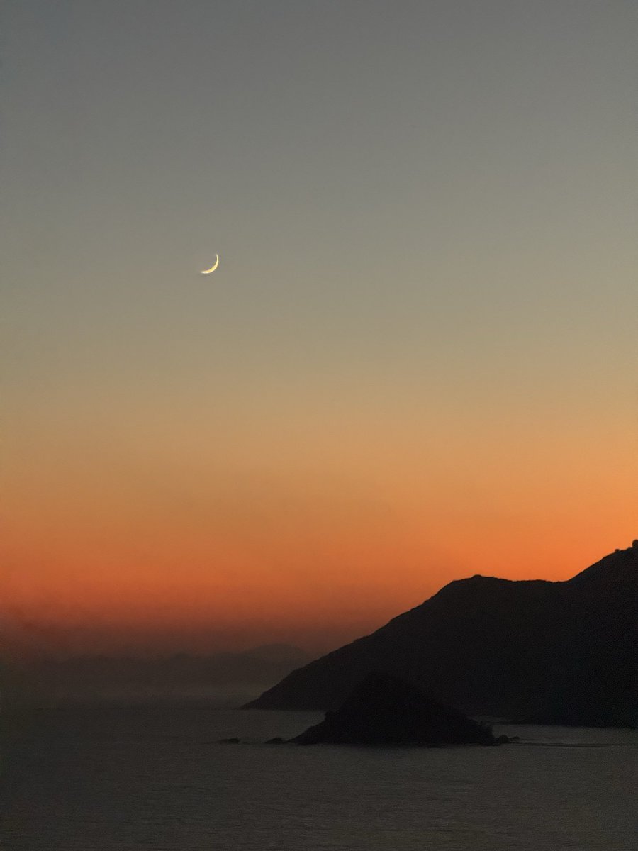 予与vkx tweet media