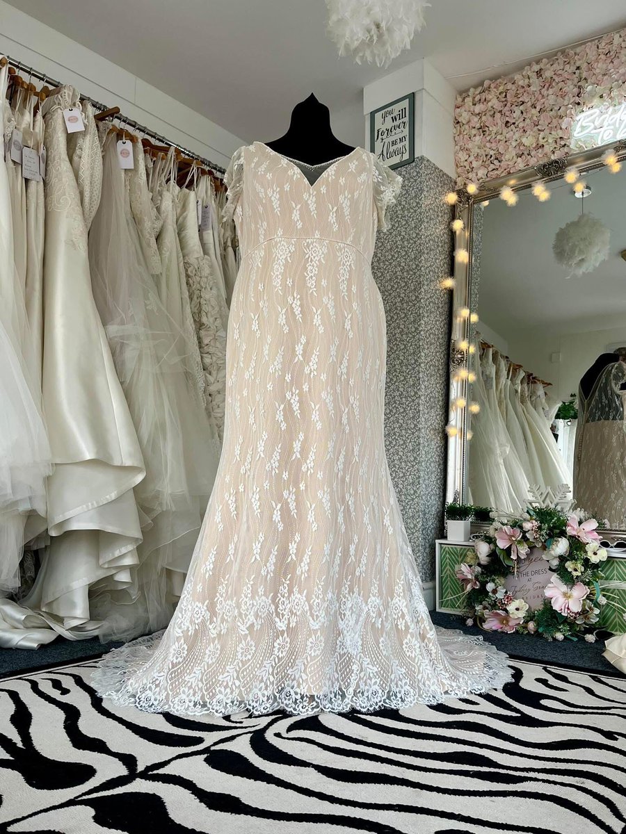 Sydney Grace Bridal tweet media