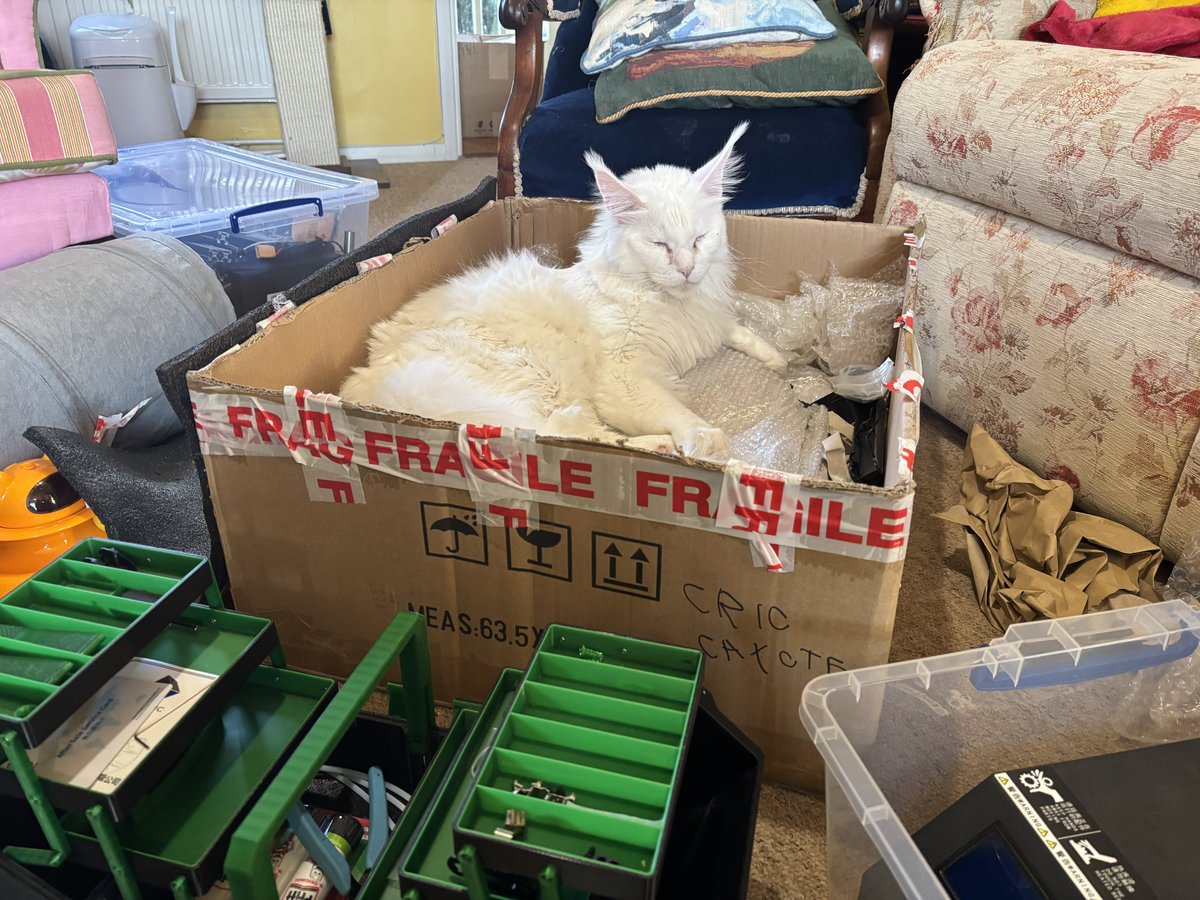 Somebodies helping today