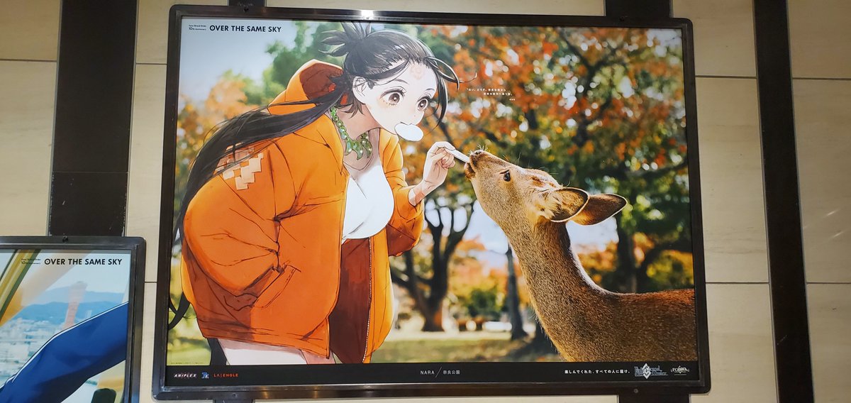 紅麗 (@tkurenai) / Posts / X