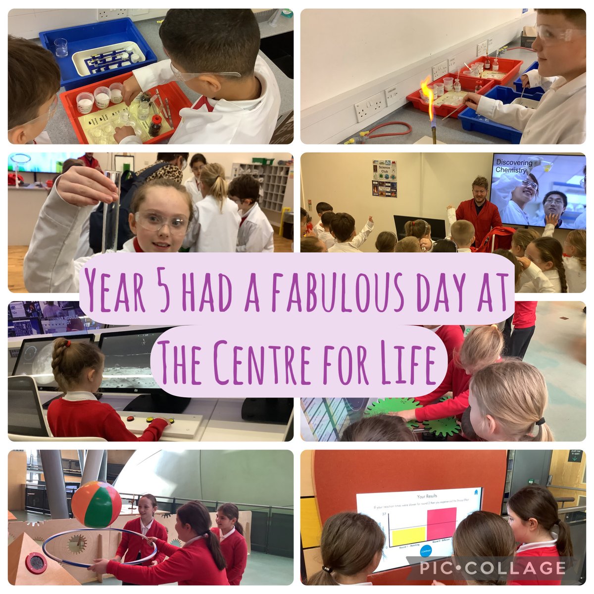 MrsCrozierFalla's tweet photo. Year 5 had a brilliant day @CentreForLife https://t.co/HFFvslwyvY
