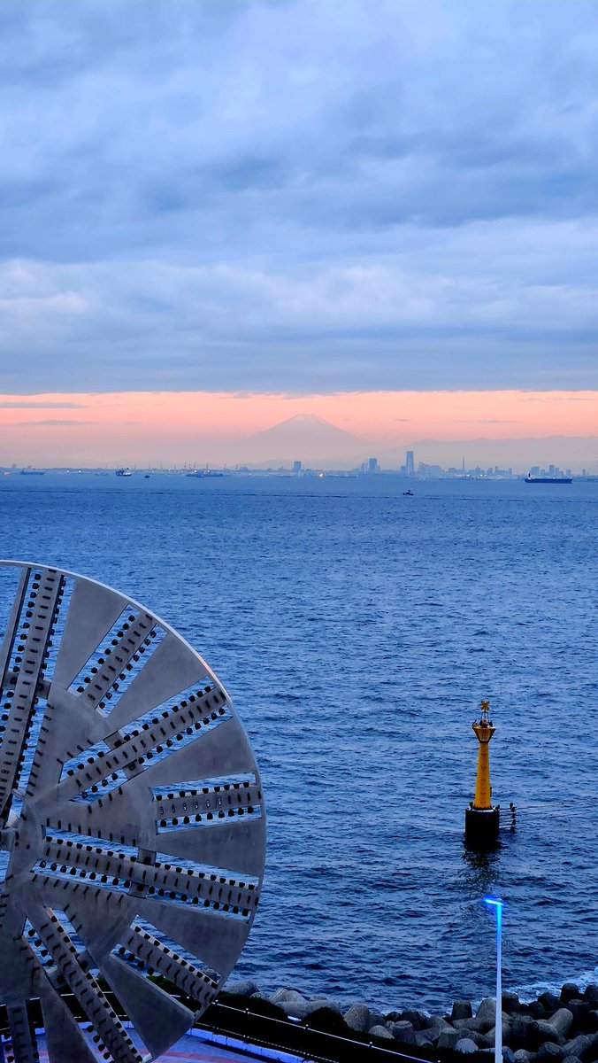 いもむしc(.(.(.(.(@･ω･) tweet media