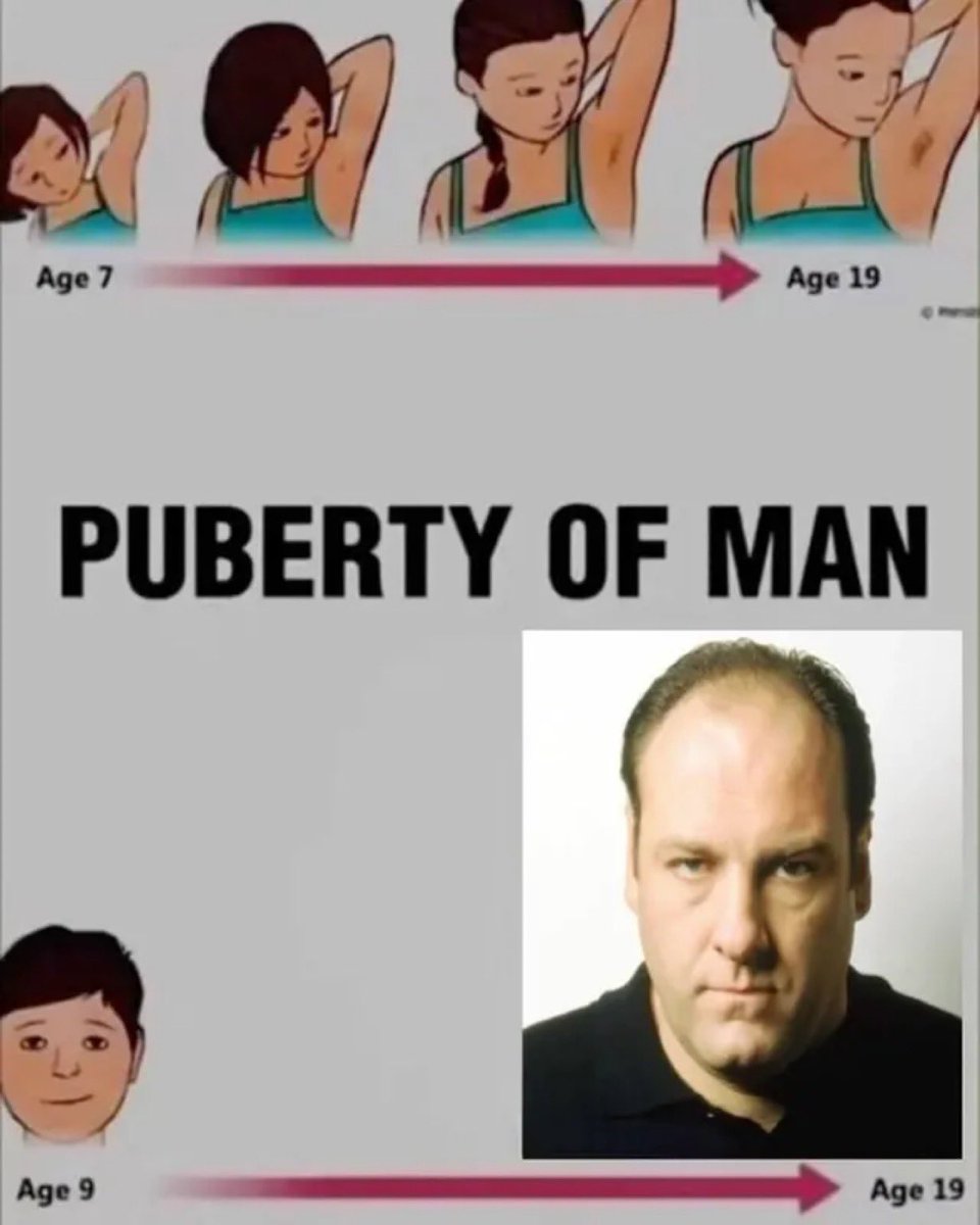 litteralyme0's tweet image. 