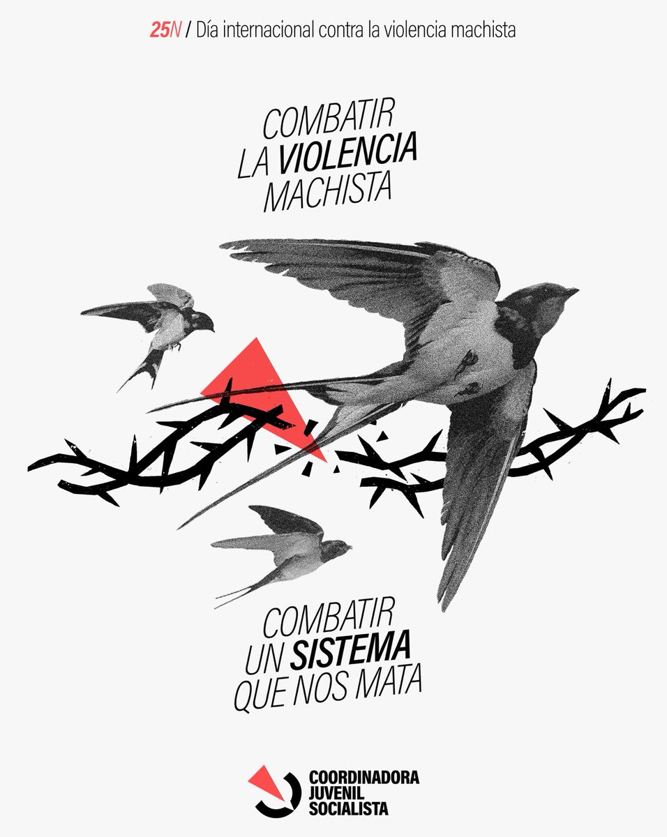 🔴 25N | Día internacional contra las violencias machistas.

Frente a la normalización de los discursos machistas y reaccionarios, es necesario construir una alternativa política que acabe con la opresión de género.

¡Destruyamos un sistema que nos mata!