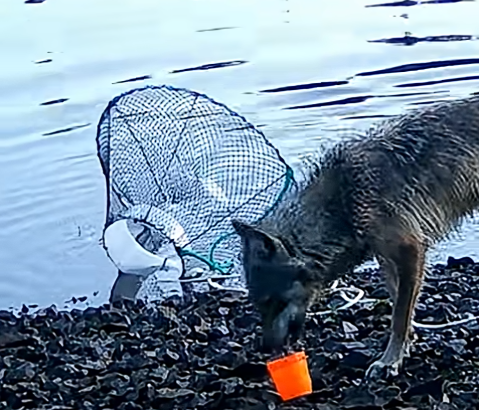 Hombre Décimo - Ignacio de Miguel tweet media