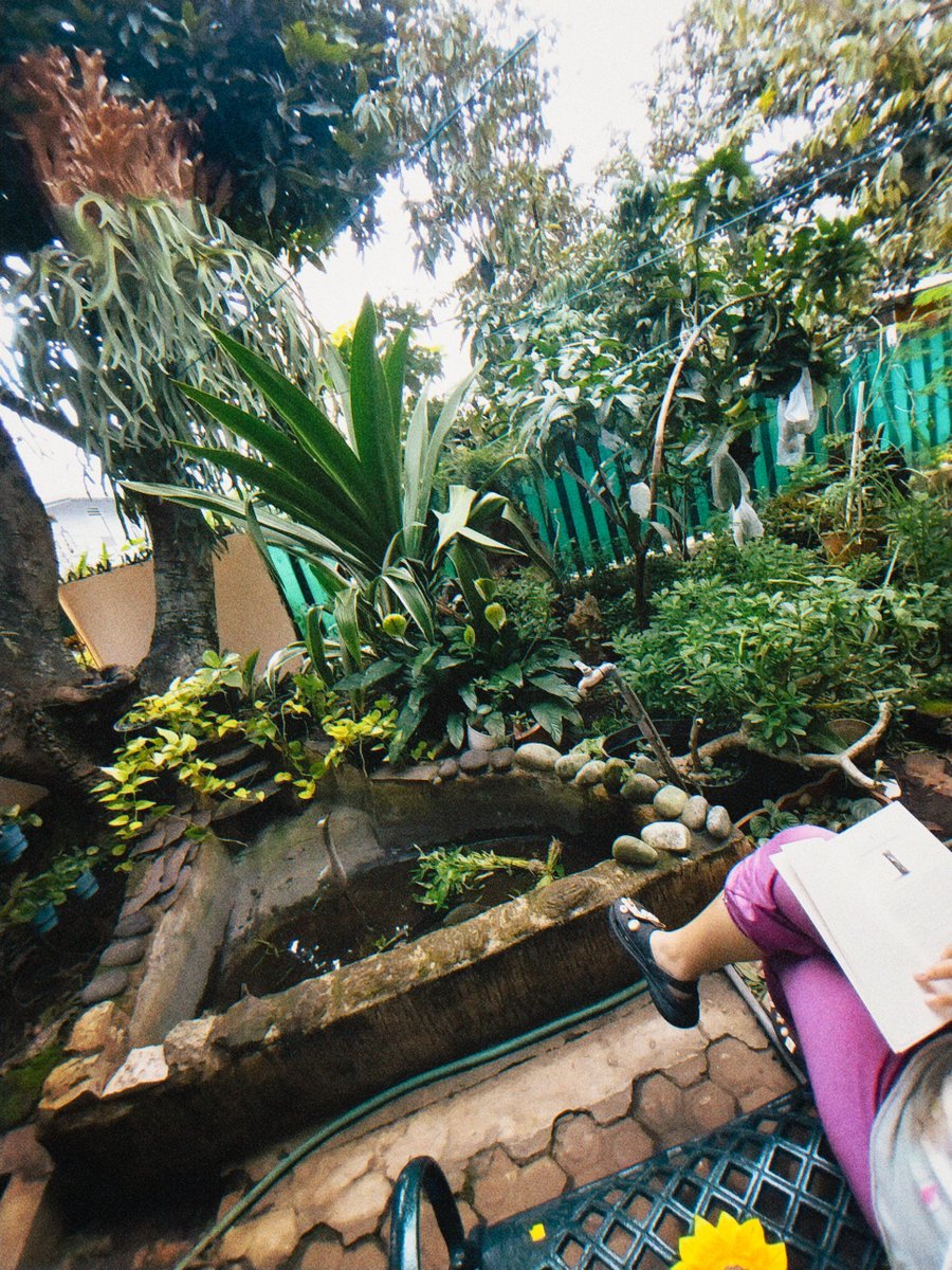 performative mangoholic