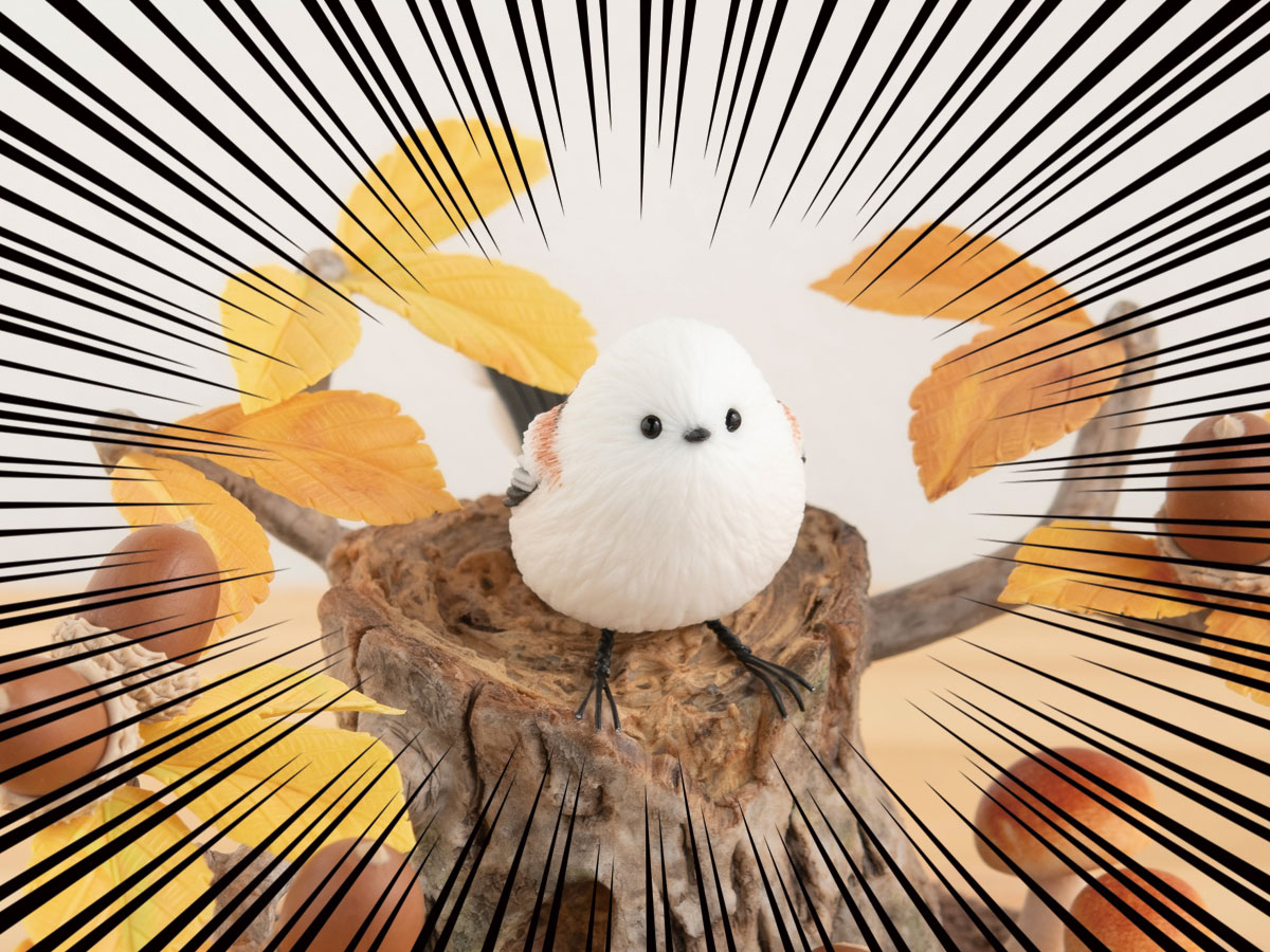 秋♪どんぐり♡シマエナガ 秋♪どんぐり♡シマエナガ 【公式通販】