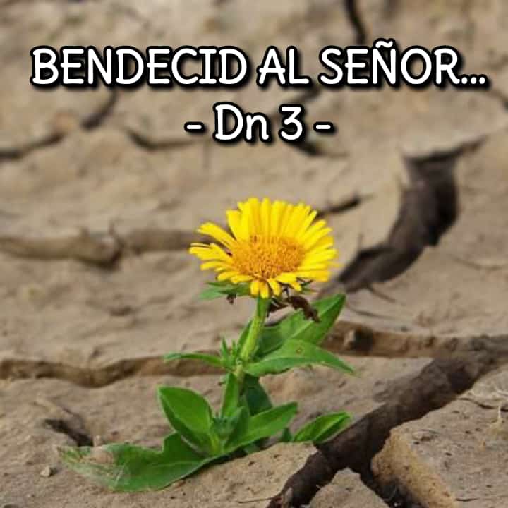 cuidado, detalle, amor tweet media