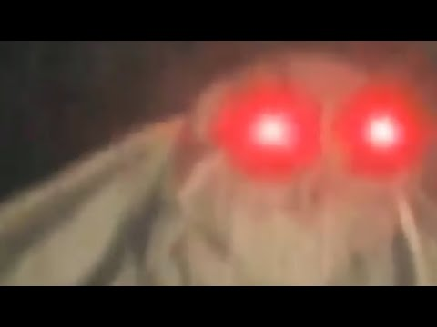 MothPucker's tweet image. is this a lamp