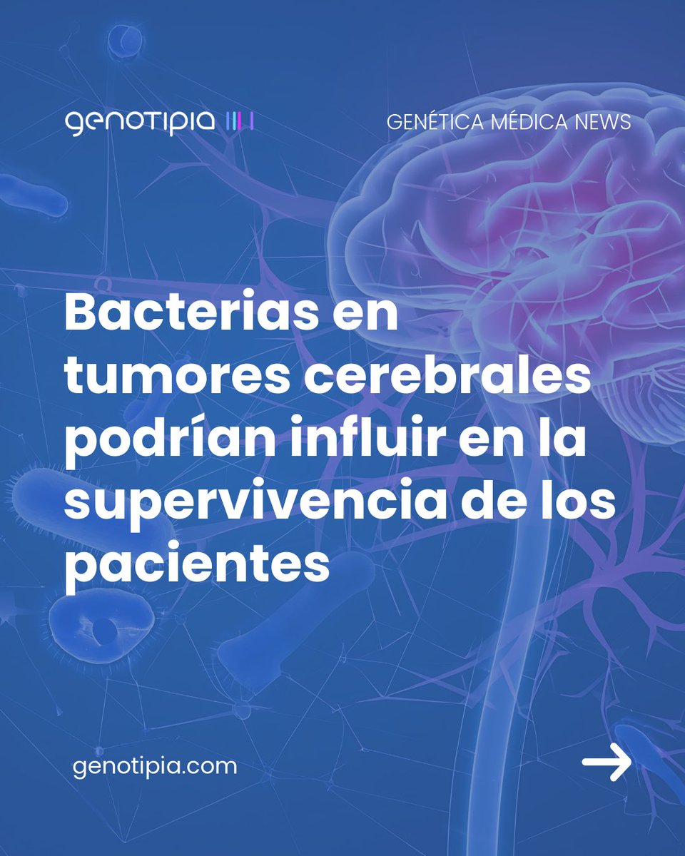 Genotipia tweet media