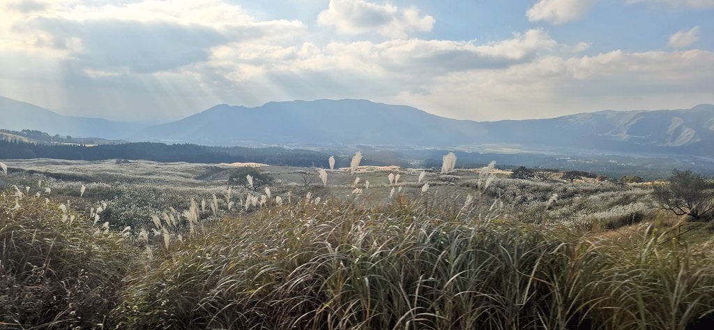 funkuso2nd's tweet image. つい数日前にいました