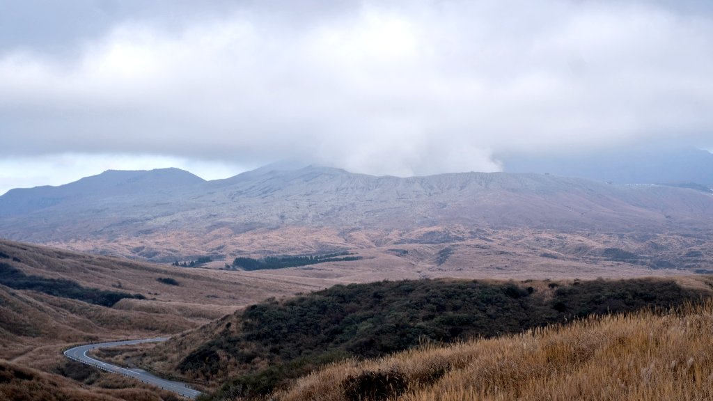 funkuso2nd's tweet image. つい数日前にいました