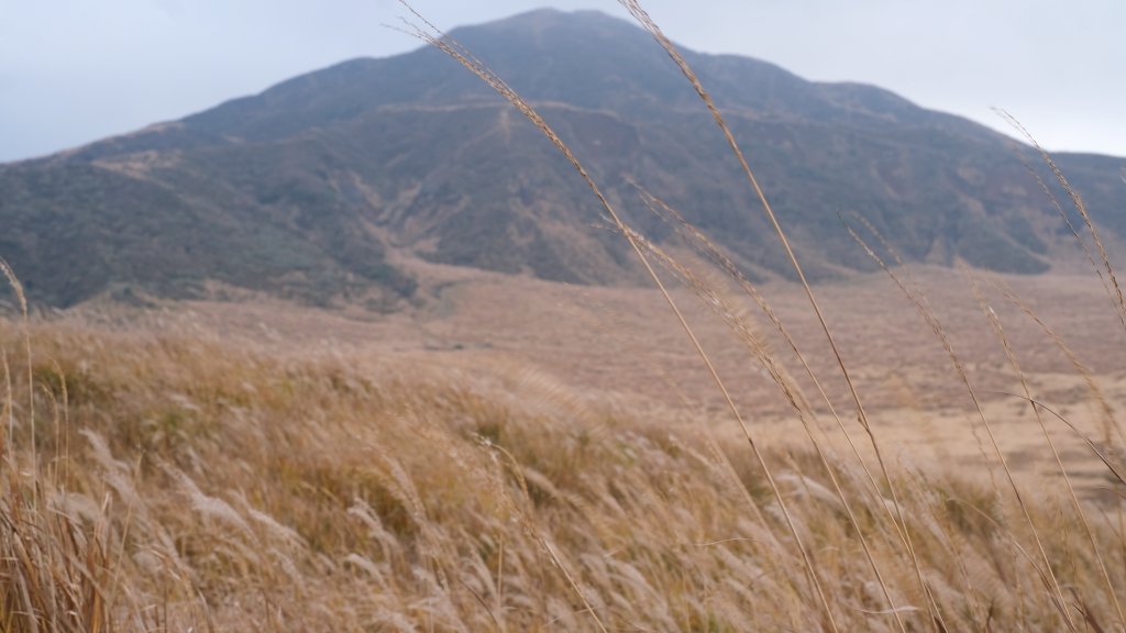 funkuso2nd's tweet image. つい数日前にいました