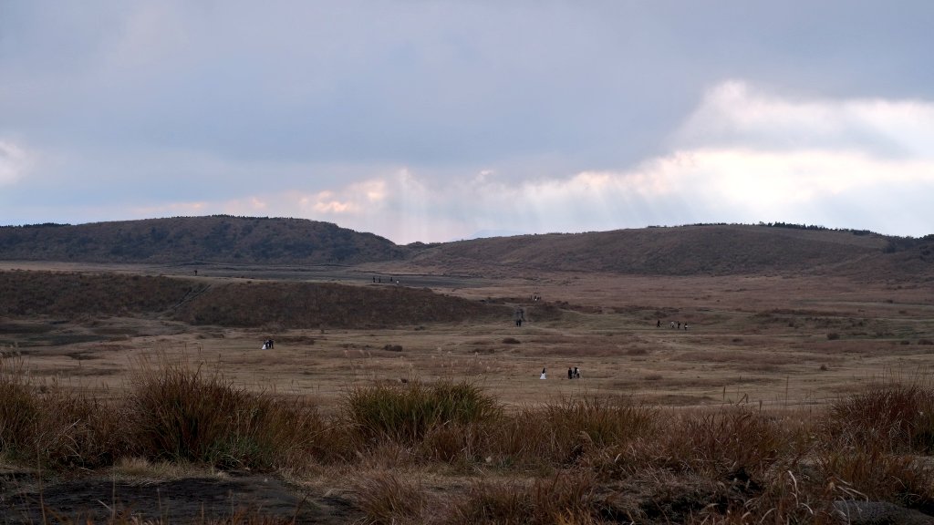 funkuso2nd's tweet image. つい数日前にいました