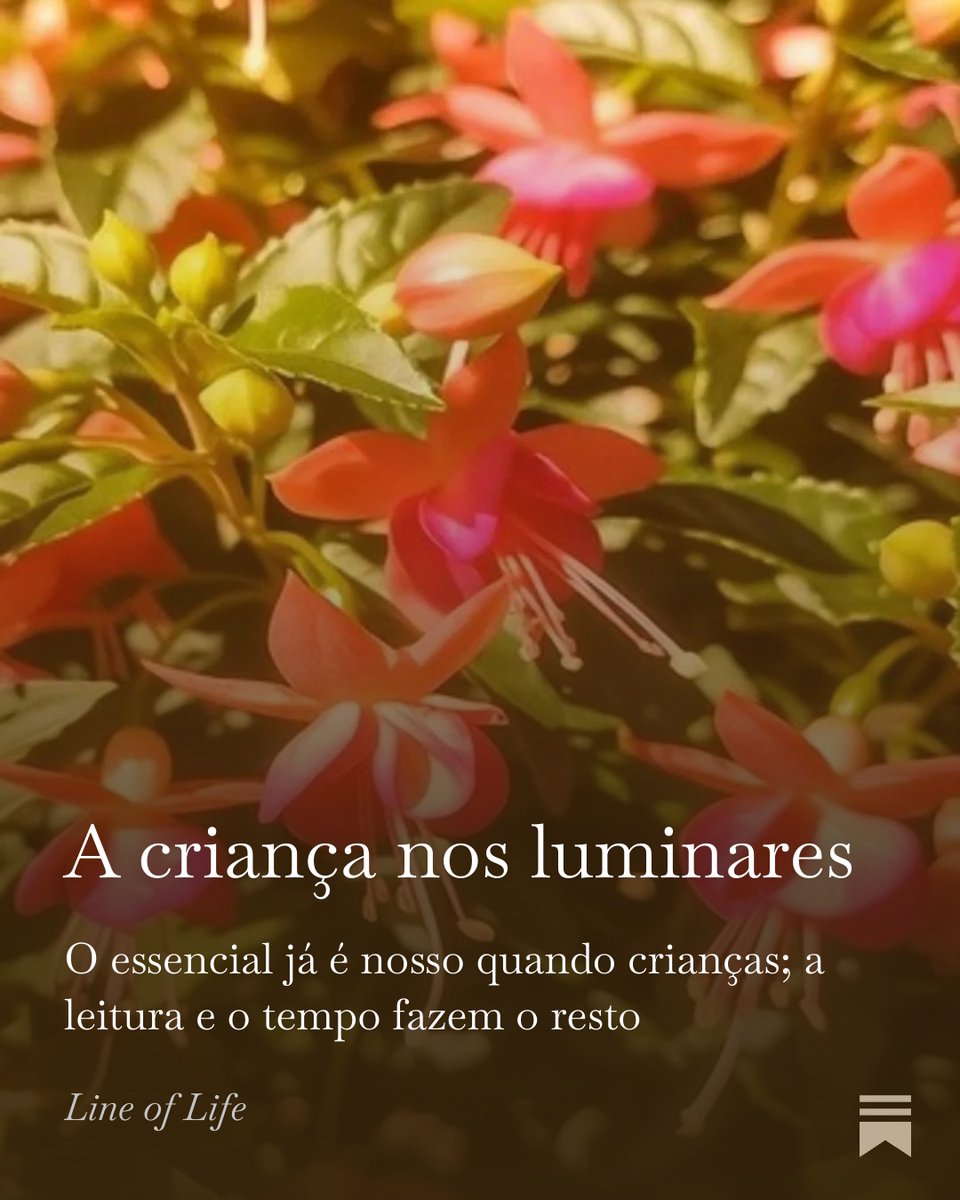 Fábio Silveira tweet media