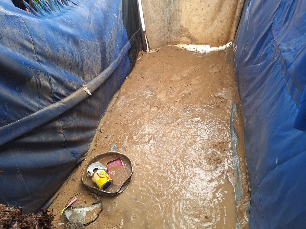 GhaziPS25's tweet image. صباحات غزة