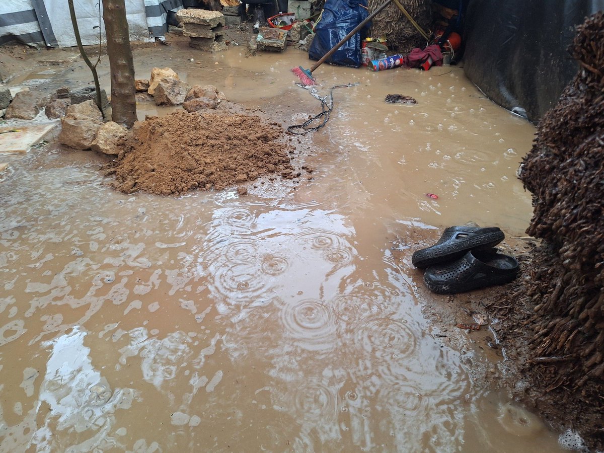 GhaziPS25's tweet image. صباحات غزة