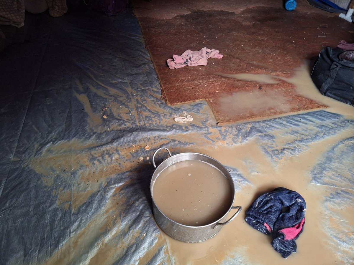 GhaziPS25's tweet image. صباحات غزة