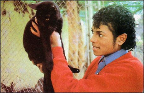 anniinareunanen's tweet image. Michael &amp;amp; black cat, 1983 🥰🩷
#MichaelJackson