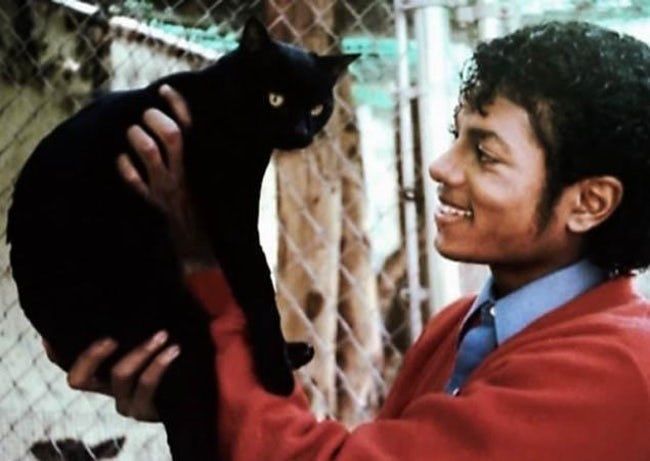 anniinareunanen's tweet image. Michael &amp;amp; black cat, 1983 🥰🩷
#MichaelJackson