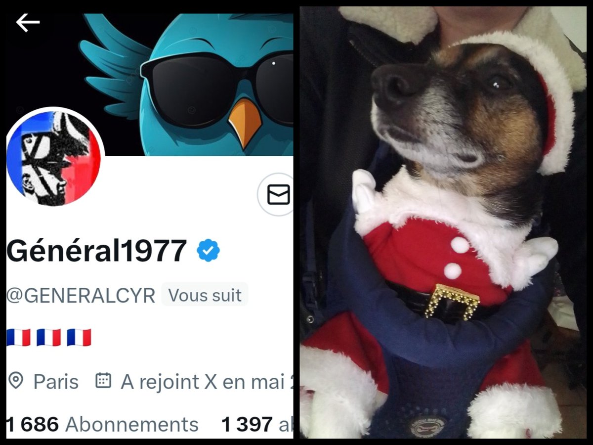 JuniorGuibole's tweet image. INFO🚨 Merci de partager! 
Mes amis abonnés😉
Ainsi que l&apos;équipe #JambonBeurre #TeamPatriotes 🇨🇵 
Notre ami @GENERALCYR    👍
Aurait besoin d&apos;un petit coup de pouce pour grossir sa TL!🥳
Merci de vous abonner à lui!🙏
Et n&apos;oubliez pas!😉
Tous ensemble nous sommes plus forts!🇨🇵