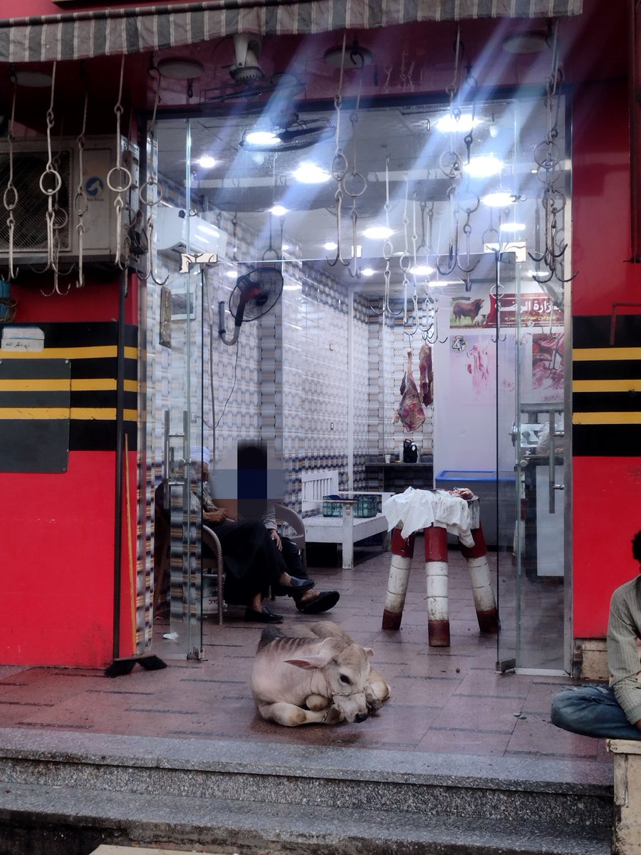 Телёнок в мясной лавке

18+ НАСТОЯЩИЙ МАТЕРИАЛ (ИНФОРМАЦИЯ) ПРОИЗВЕДЕН, РАСПРОСТРАНЕН И (ИЛИ) НАПРАВЛЕН ИНОСТРАННЫМ АГЕНТОМ КАВКАЗСКИМ НИКОЛАЕМ ЮРЬЕВИЧЕМ ЛИБО КАСАЕТСЯ ДЕЯТЕЛЬНОСТИ ИНОСТРАННОГО АГЕНТА КАВКАЗСКОГО НИКОЛАЯ ЮРЬЕВИЧА

Сфотографировал сейчас.